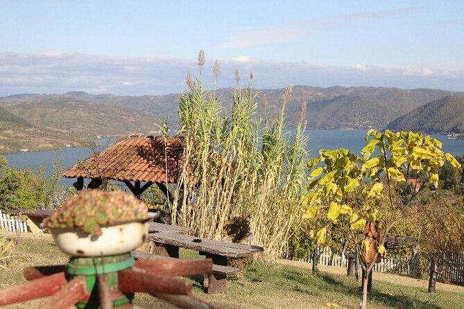 Along the Danube: Golubac Fortress & Iron Gate Gorge day trip from Belgrade - Who should book this Danube day trip?