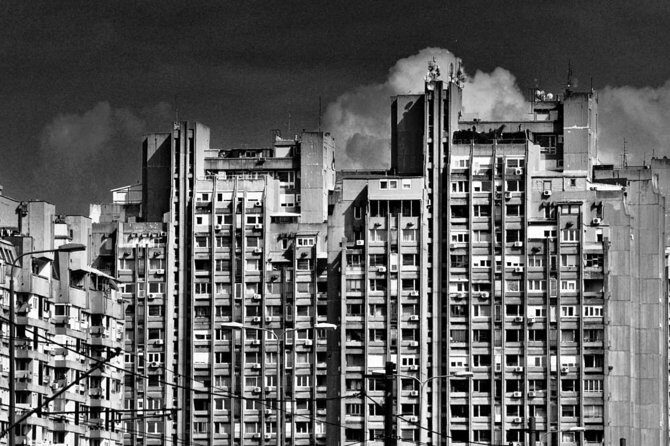 Architecture of New Belgrade - Brutalism Decoded - Park Prijateljstva: trees, peace, and the Non-Aligned Movement