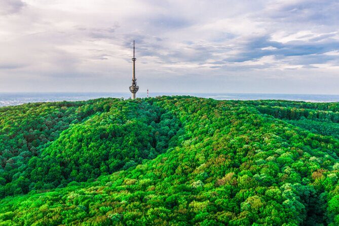Avala Mountain Private Tour - A 10:00 am start and a 3.5-hour flow that fits your schedule