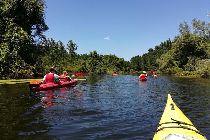 Belgrade Amazon Kayak Adventure - Beljarica: Belgrade’s Amazonia and why it feels so far from the city