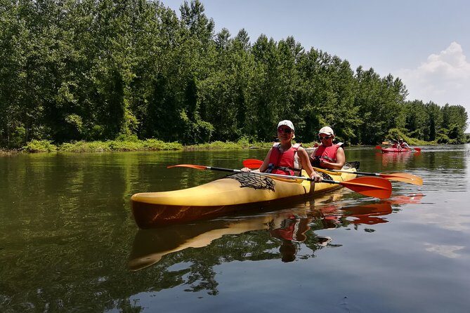 Belgrade Amazon Kayak Adventure - Your 18 km paddle: what 5 hours really feels like in the Danube channels