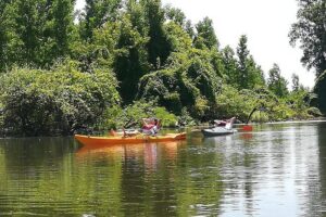 Belgrade Amazon Kayak Adventure - Meeting at Kej Oslobođenja: getting on the water smoothly with Dejan-style coaching