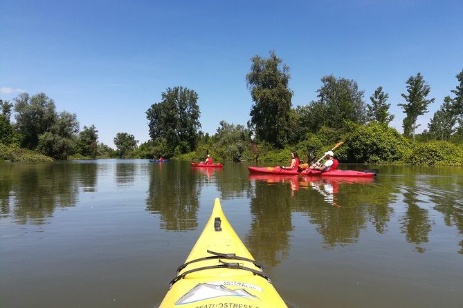 Belgrade Amazon Kayak Adventure - Kayaks and pacing: stable, spacious boats and why that matters for first-timers