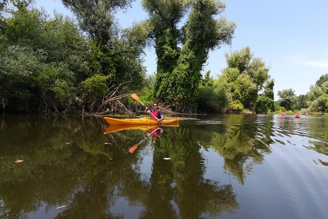 Belgrade Amazon Kayak Adventure - Should you book the Belgrade Amazon Kayak Adventure?