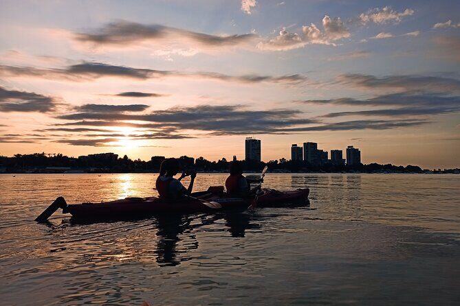 Belgrade sunset kayak tour - Meeting Point and Timing: Starting at 5:00 pm