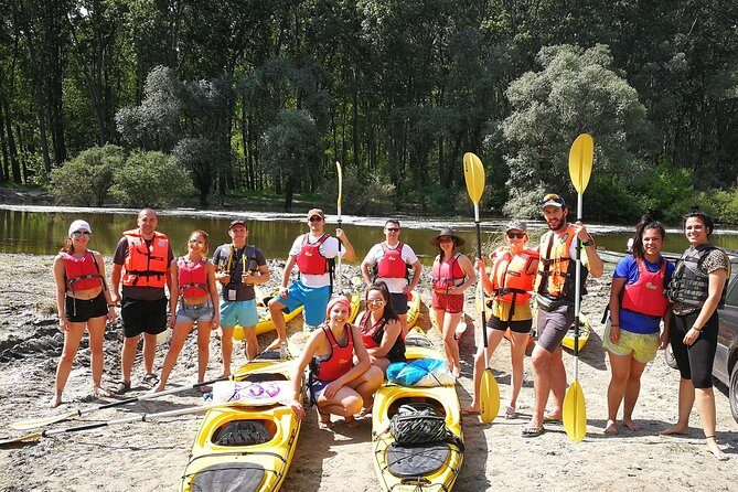 Belgrade War Island Kayak Tour - Key things you’ll notice