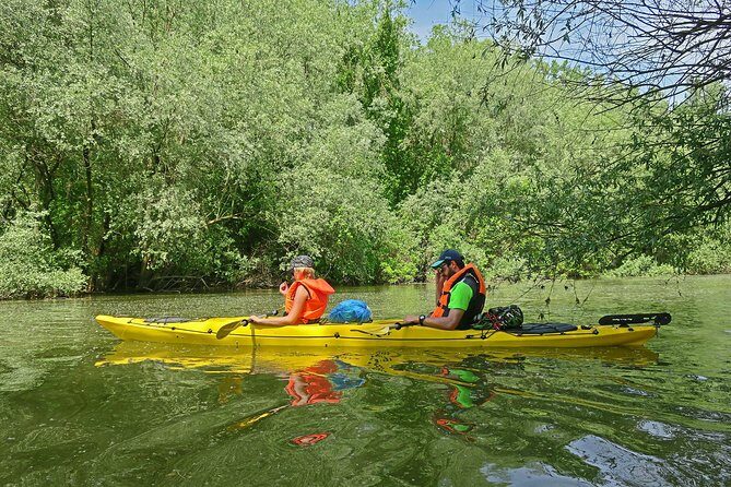 Belgrade War Island Kayak Tour - Kayak basics that actually help you steer
