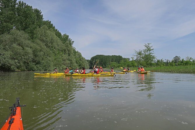 Belgrade War Island Kayak Tour - Sava River section: the wildlife side of the trip