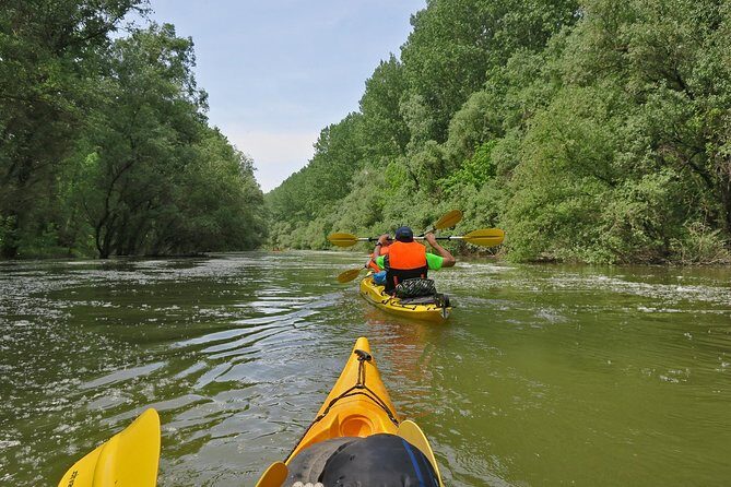 Belgrade War Island Kayak Tour - Great War Island: marshlands, military past, and Veliki Galijaš