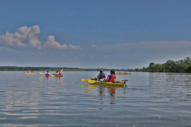 Belgrade War Island Kayak Tour - Belgrade skyline from the water: why the route feels special