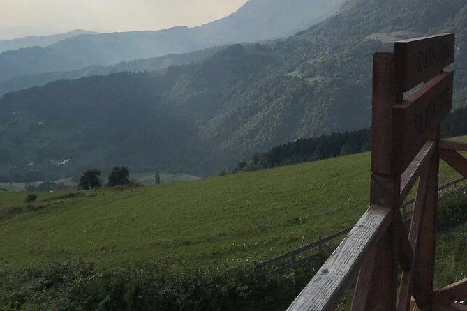 Feel Serbia - Tara National Park hike to Banjska Stena (and the Sargan Eight Train option)