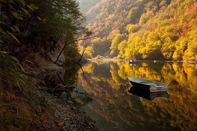 Full Day Trip from Belgrade: The Drina River House And Tara Park Tour - Transportation and Group Size: Comfort on a Long Stretch