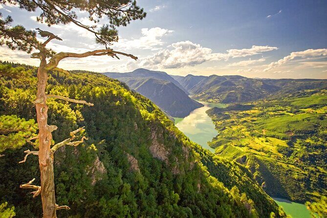 Full Day Trip from Belgrade: The Drina River House And Tara Park Tour - Along the Drina: Viewpoints That Make the Drive Feel Worth It