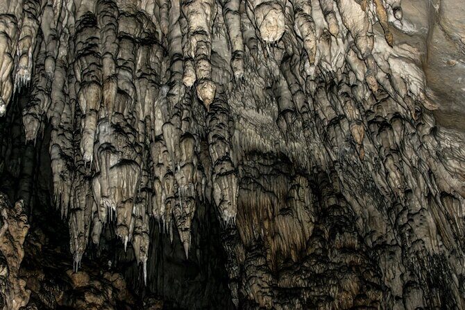 Full Day Trip from Belgrade: Uvac Nature Reserve Tour - Lunch and money planning: don’t assume a sit-down meal