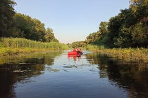 Great War Island Kayak Adventure - First on the water: rowing basics without pressure
