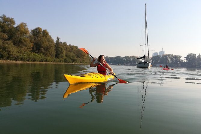 Great War Island Kayak Adventure - The island circle: what you’re actually doing for those 2 hours