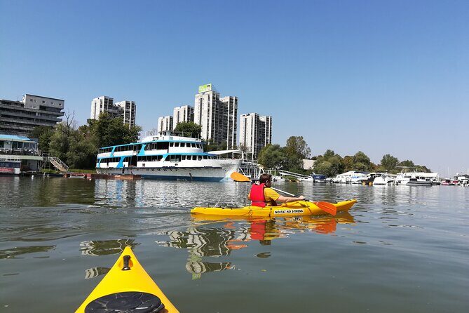 Great War Island Kayak Adventure - Guide clarity and group safety: the real comfort factor