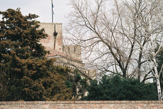 Half-Day Sightseeing and Walking Tour of Belgrade City - Kneza Mihailova: where you’ll feel Belgrade’s street rhythm