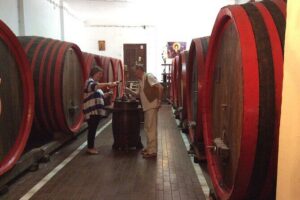 Nis Sightseeing Tour - The city center: monuments, a writer tribute, and Tinkers Alley coffee breaks