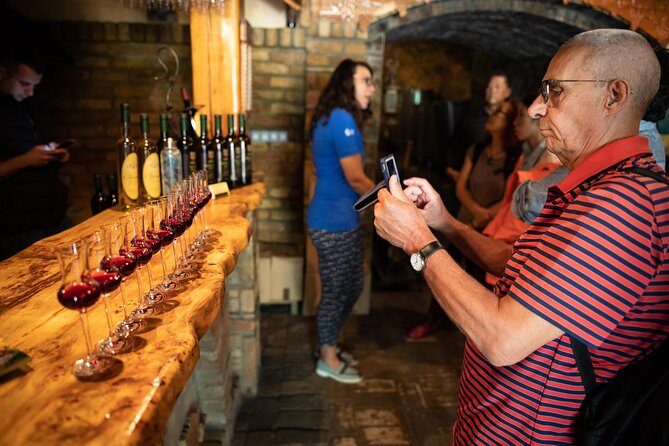 Northern Serbia: Sremski Karlovci and Novi Sad Full-Day Tour from Belgrade - Novi Sad’s Serbian Athens feel: museums, squares, churches, and a lot of walking