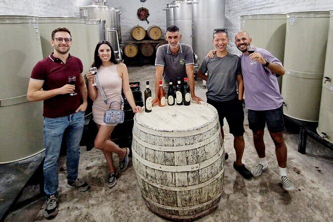 Private Day Tour Discovering Hidden Gems of Novi Sad in Luxury - Luxury pickup in a VW Multivan: the easy start that matters