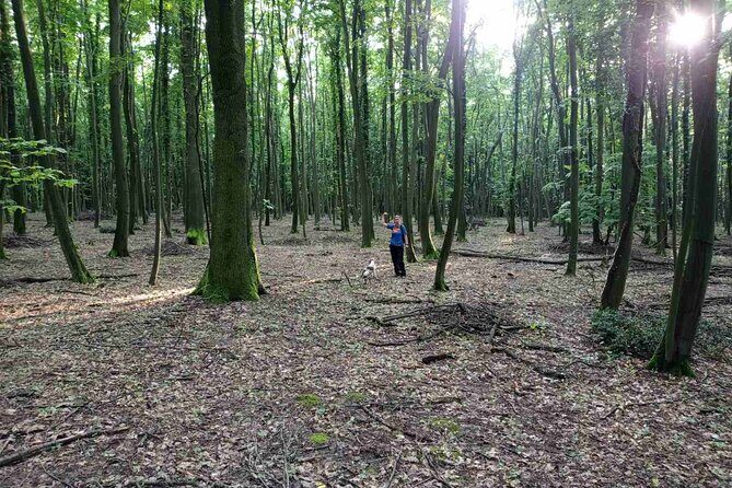 Private Guided Truffle Hunting Tour in Serbia with Lunch - Why the Private Format Makes Sense for This Tour