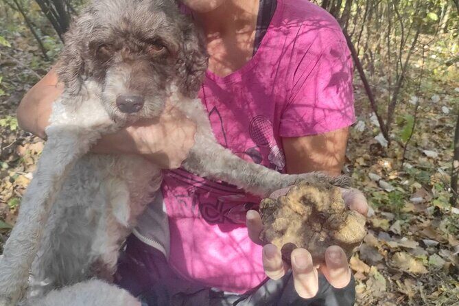 Private Guided Truffle Hunting Tour in Serbia with Lunch - Practical Tips for a Smooth Day in Serbia