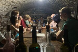 Private Novi Sad, Titanic wine tasting and Farmer's House - Sremski Karlovci: baroque streets and bermet with a Titanic twist