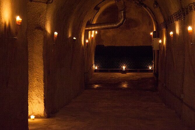 Private Wine Tasting by Party in Belgrade - Who This Tour Fits Best (and Who Might Want Something Else)