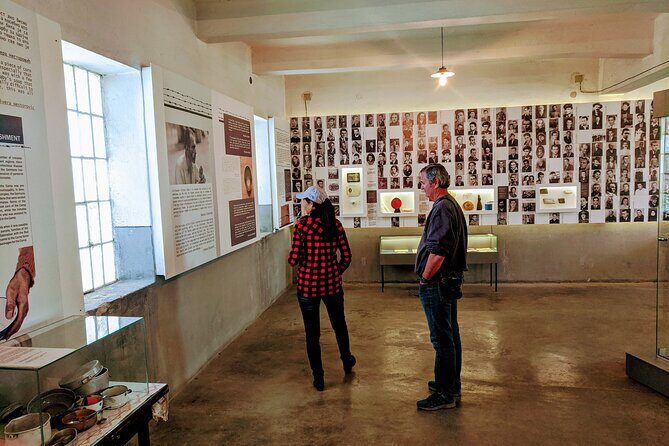 Southern Serbia: Full Day Private Trip to Niš from Belgrade - Archaeological Hall in the Niš National Museum: a strong last chapter