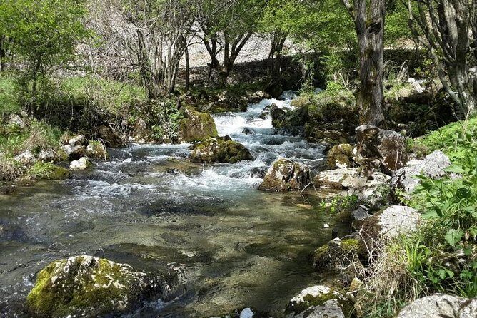 Treasures of Eastern Serbia private tour - Price and value: what you’re really paying for